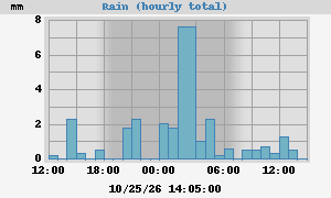 rain